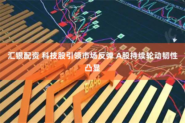 汇银配资 科技股引领市场反弹 A股持续轮动韧性凸显