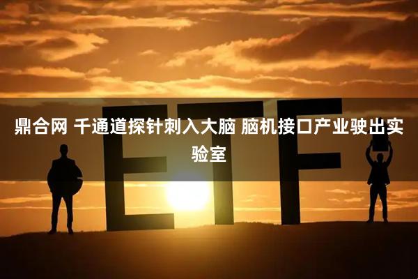 鼎合网 千通道探针刺入大脑 脑机接口产业驶出实验室