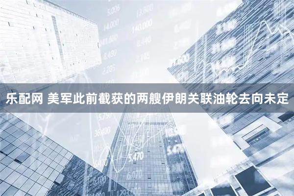 乐配网 美军此前截获的两艘伊朗关联油轮去向未定