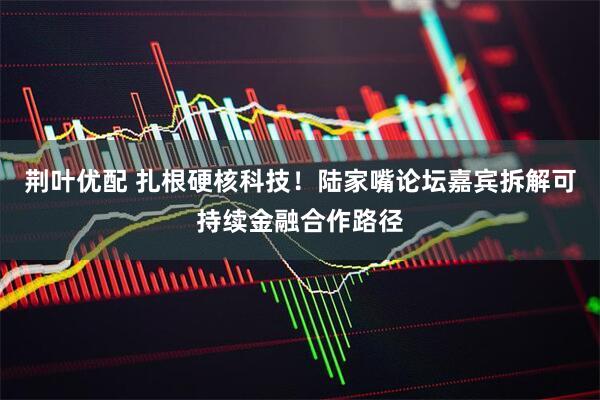 荆叶优配 扎根硬核科技！陆家嘴论坛嘉宾拆解可持续金融合作路径