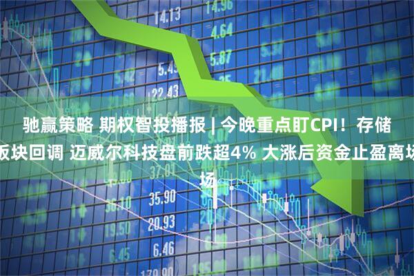 驰赢策略 期权智投播报 | 今晚重点盯CPI！存储板块回调 迈威尔科技盘前跌超4% 大涨后资金止盈离场