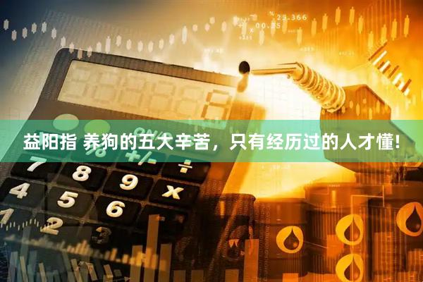 益阳指 养狗的五大辛苦，只有经历过的人才懂!